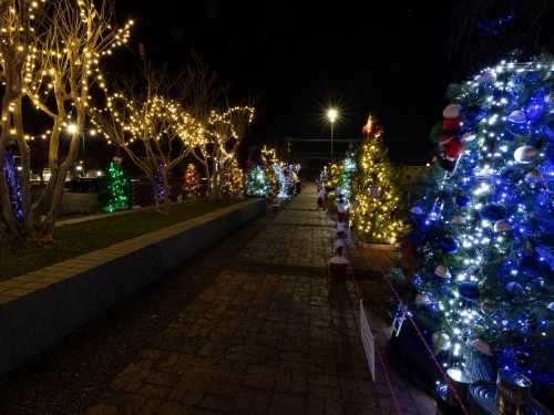 A festive pathway lined with decorated Christmas trees and twinkling lights at night.