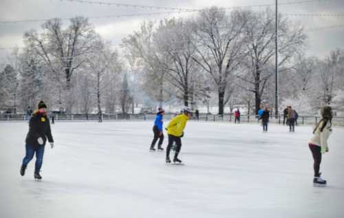 People ice skating on a frozen rink surrounded by snow-covered trees on a cloudy day.