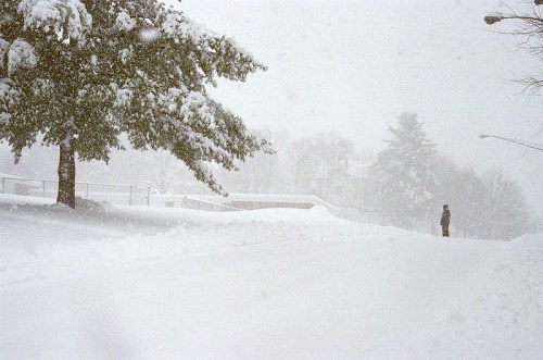 A snowy scene with heavy snowfall, a lone figure stands on a snow-covered road beside a tree.