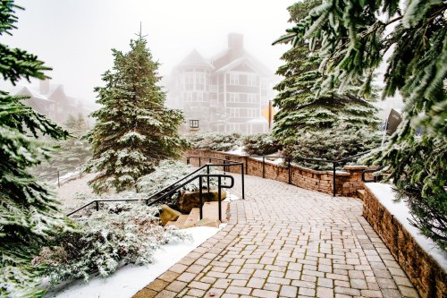 A misty pathway winds through snow-covered trees, leading to a building in a winter landscape.