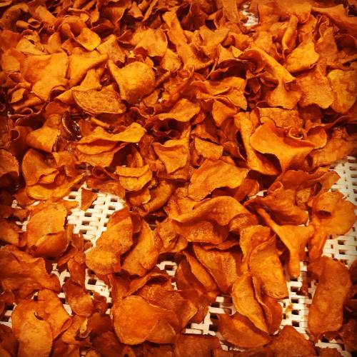 A close-up of crispy, golden-brown potato chips scattered on a white surface.