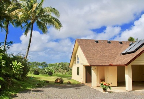 A sunny view of a house with a brown roof, surrounded by palm trees and lush greenery under a blue sky.