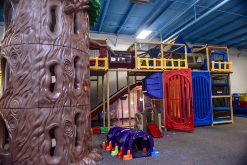 Colorful indoor playground featuring a large tree structure, slides, tunnels, and climbing areas for children.