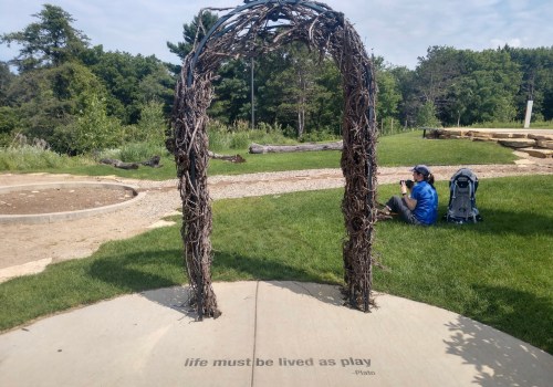 A natural arch made of branches stands in a grassy area, with a person sitting nearby, taking photos.