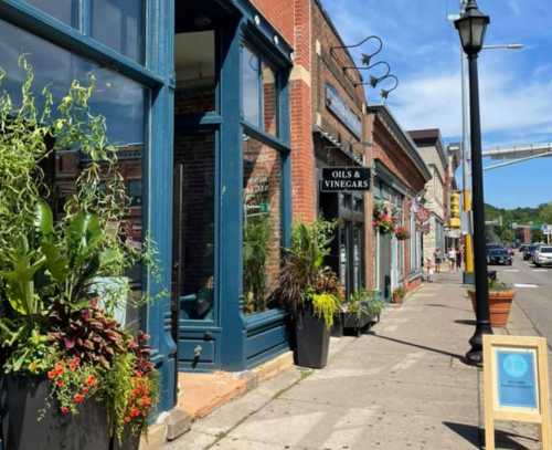 A charming street scene featuring shops with large windows, planters, and a clear blue sky.