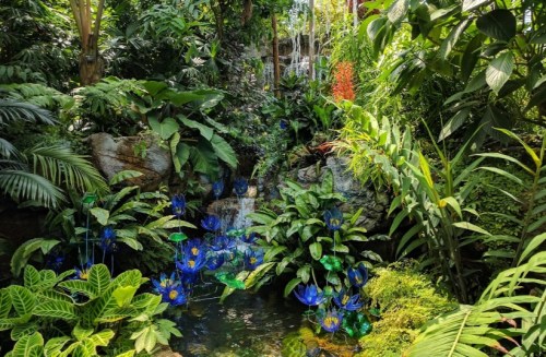 Lush tropical garden with vibrant blue flowers, a waterfall, and various green plants surrounding a serene pond.
