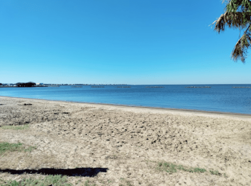 A serene beach scene with golden sand, calm blue water, and a clear sky. Gentle waves lapping at the shore.