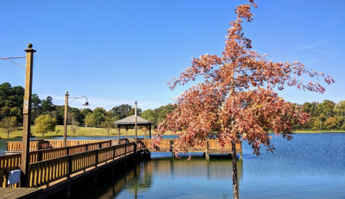 A serene lake scene with a wooden dock, a gazebo, and a tree with autumn leaves under a clear blue sky.