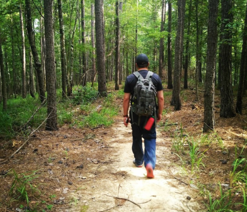 A person walking on a dirt path through a dense forest, carrying a backpack and surrounded by tall trees.