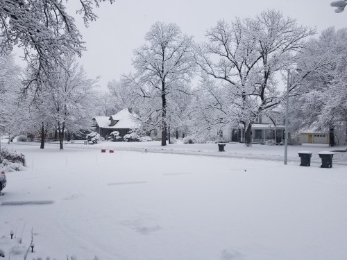 A snowy landscape with trees and houses, blanketed in white snow, creating a serene winter scene.