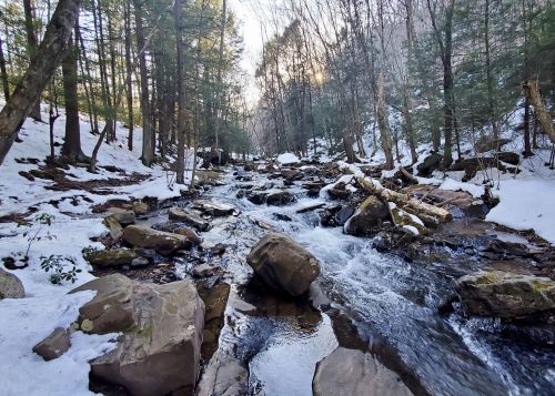 A serene stream flows through a snowy forest, with rocks and trees lining the banks under a clear sky.
