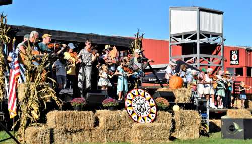 A lively outdoor performance with musicians of all ages playing violins on a stage decorated with hay bales and pumpkins.