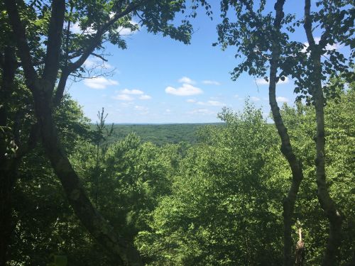 Lush green trees frame a scenic view of rolling hills and a blue sky with fluffy clouds.