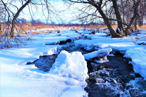 A snowy landscape with a flowing stream, surrounded by bare trees and patches of grass under a clear blue sky.