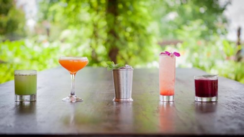 A variety of colorful cocktails arranged on a wooden table, surrounded by greenery.