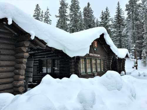 A rustic log cabin covered in snow, surrounded by tall evergreen trees in a winter landscape.