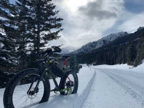 A fat bike rests on a snowy road surrounded by tall pine trees and mountains under a cloudy sky.