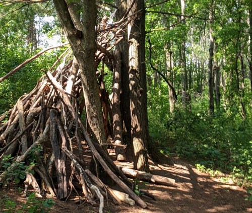 A rustic structure made of branches and logs stands among lush green trees in a forested area.