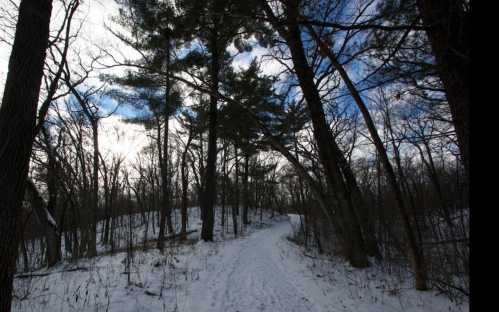 A snowy path winds through a forest of tall trees under a cloudy sky.