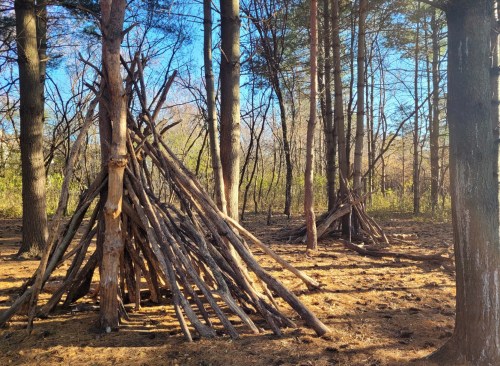Two teepee-like structures made of sticks in a wooded area with tall trees and clear blue sky.