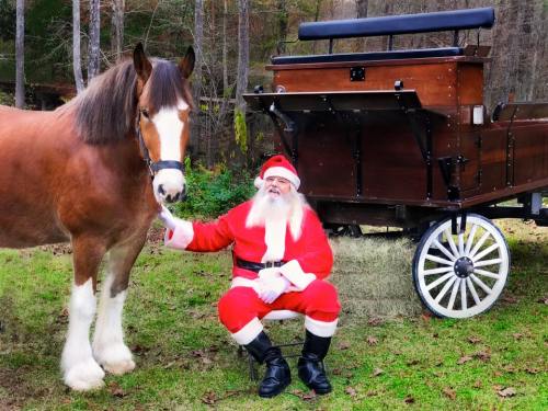 Santa Claus in a red suit sits beside a horse, with a wooden cart in a forested area.