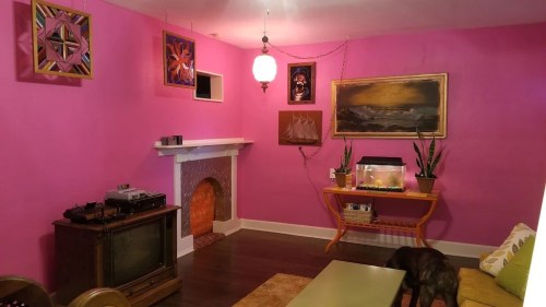 A vibrant pink living room with a vintage TV, fish tank, plants, and artwork on the walls, featuring a dog on the floor.