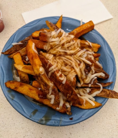 A blue plate filled with golden-brown fries topped with melted cheese and a savory brown sauce.