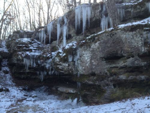 Icicles hang from a rocky cliff, surrounded by snow and bare trees in a winter landscape.