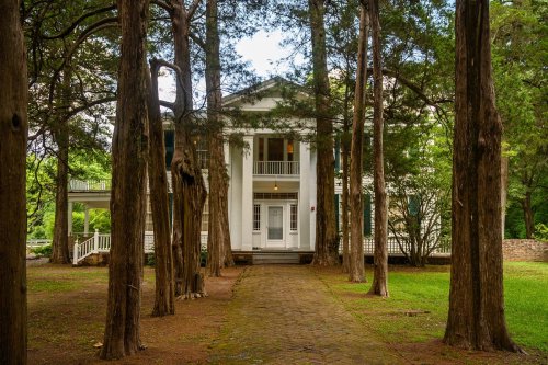 A historic white house framed by tall trees, with a stone pathway leading to its entrance.