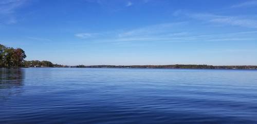 Calm lake under a clear blue sky, with gentle ripples on the water and distant trees along the shoreline.