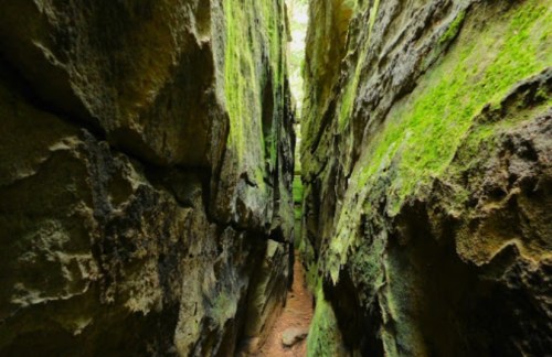 Narrow canyon with moss-covered rock walls and a sandy path, illuminated by soft natural light from above.