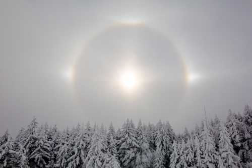 A snowy landscape with tall trees under a cloudy sky, featuring a bright sun surrounded by a halo effect.