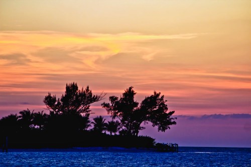 Silhouette of trees against a colorful sunset over calm waters.