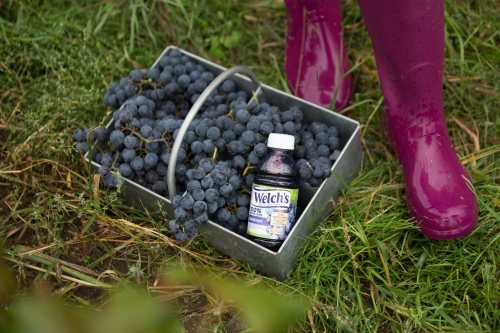 A metal basket filled with grapes next to a bottle of Welch's grape juice, with purple rain boots in the background.