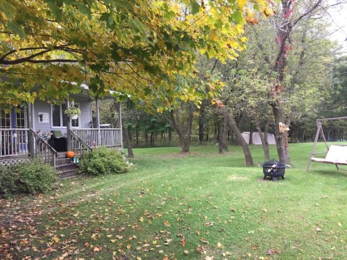 A cozy house surrounded by trees, with a swing set and a fire pit in a grassy yard, showcasing autumn foliage.