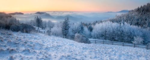 A serene winter landscape with snow-covered hills, frosty trees, and a soft pastel sky at dawn.