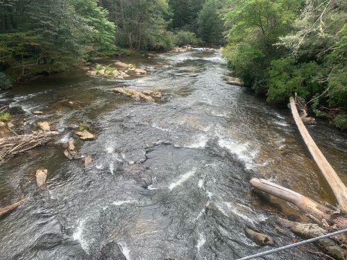 A serene river flows through a lush green landscape, with rocks and fallen trees along the banks.