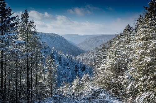 A snowy valley surrounded by tall evergreen trees under a blue sky with wispy clouds.