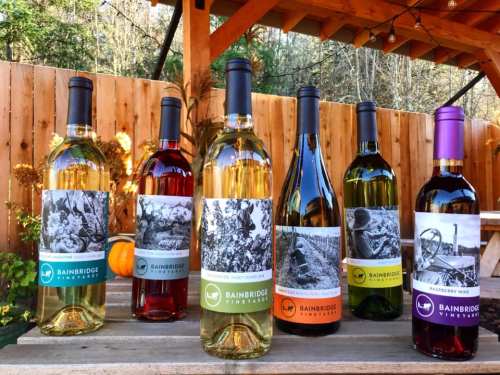 A selection of six wine bottles with artistic labels displayed on a wooden table outdoors.