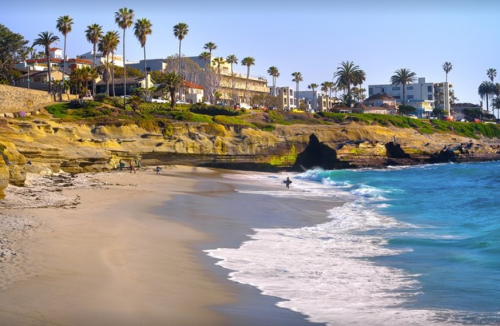 A sunny beach scene with palm trees, rocky cliffs, and gentle waves lapping at the shore. People enjoy the coastline.