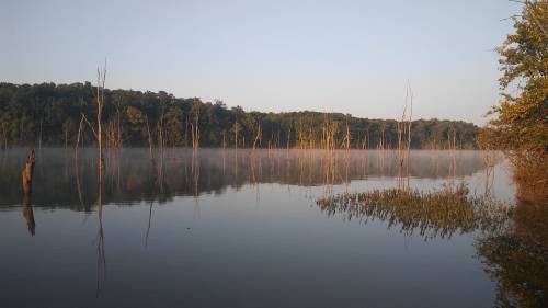 A serene lake at dawn, with mist rising and bare trees reflected in the calm water.