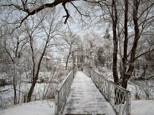 A snowy bridge surrounded by frosted trees, leading to a quaint building in the distance.