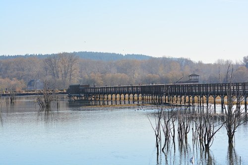 A wooden pier extends over calm water, surrounded by trees and distant hills under a clear blue sky.