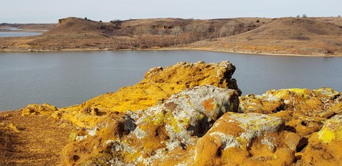 A scenic view of a lake surrounded by rolling hills and rocky outcrops covered in yellow and gray lichen.