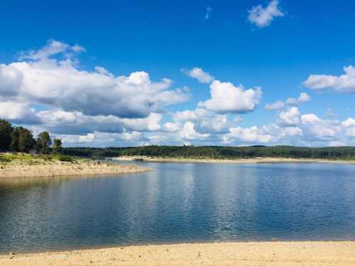 A serene lake surrounded by trees under a blue sky with fluffy white clouds.