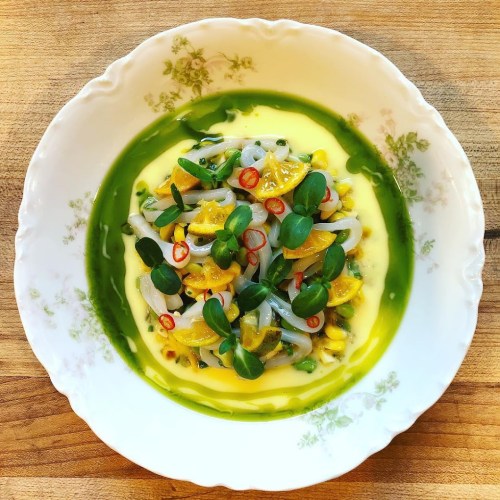A beautifully plated dish featuring squid, citrus, and greens in a vibrant sauce, garnished with chili slices.