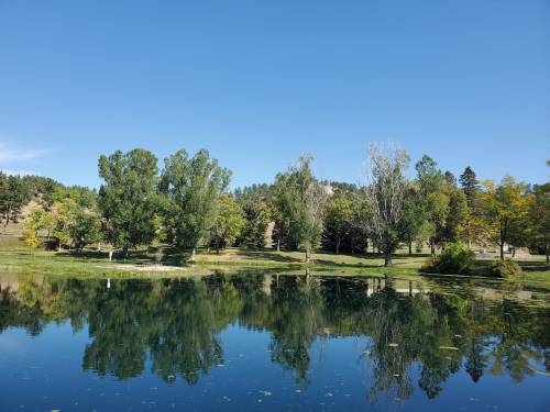 A serene pond reflecting trees and a clear blue sky, surrounded by lush greenery and distant hills.