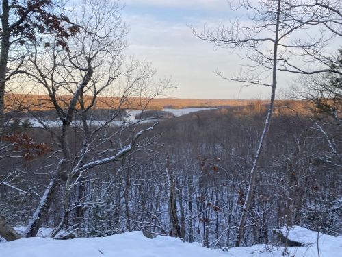A snowy landscape with bare trees overlooking a valley and distant hills under a clear sky.