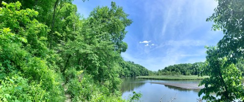 A serene river scene surrounded by lush green trees under a bright blue sky with a few clouds.
