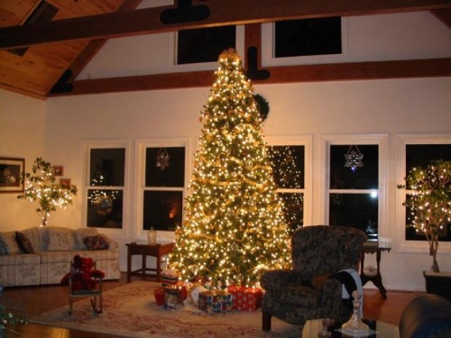 A beautifully decorated Christmas tree with lights and presents in a cozy living room with large windows.